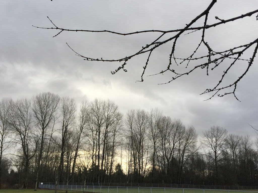 Blakeburn Elementary | 1040 Riverside Dr, Port Coquitlam, BC V3B 8A7, Canada | Phone: (604) 944-9037