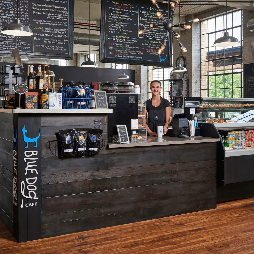 Blue Dog Coffee Roasters - Cafe | 31 Mechanic St, Paris, ON N3L 1K1, Canada | Phone: (519) 302-0556