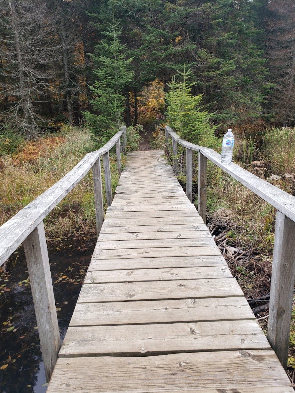 Mikisew Provincial Park | 301 Park Rd S, South River, ON P0A 1X0, Canada | Phone: (705) 386-7762