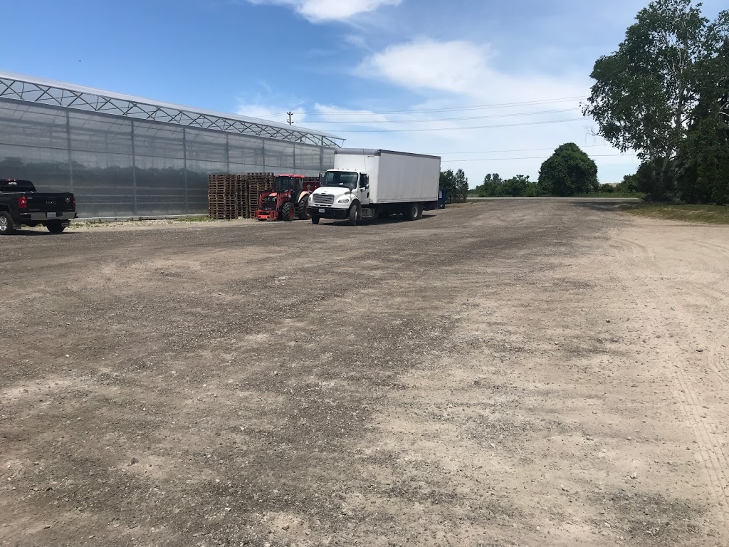 TriSon Farms | 1451 Road 2 E, Kingsville, ON N9Y 2E4, Canada | Phone: (519) 712-8646