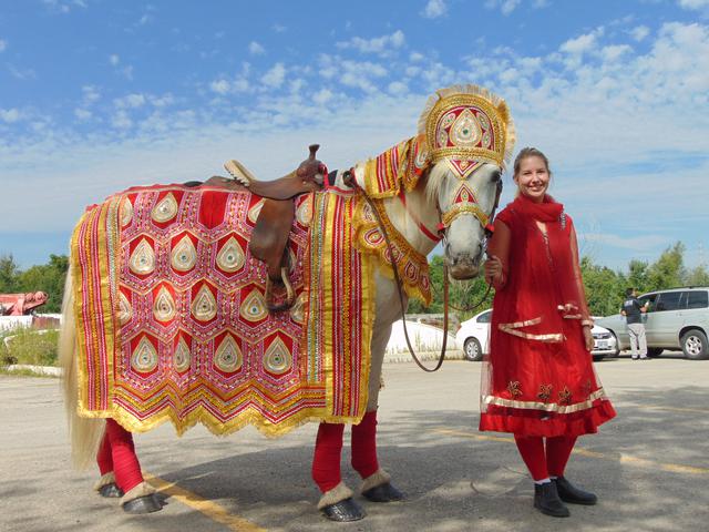 Fairytale Horse and Carriage | 473262 Dufferin County Road 11, Laurel, ON L0N 1L0, Canada | Phone: (416) 737-2860