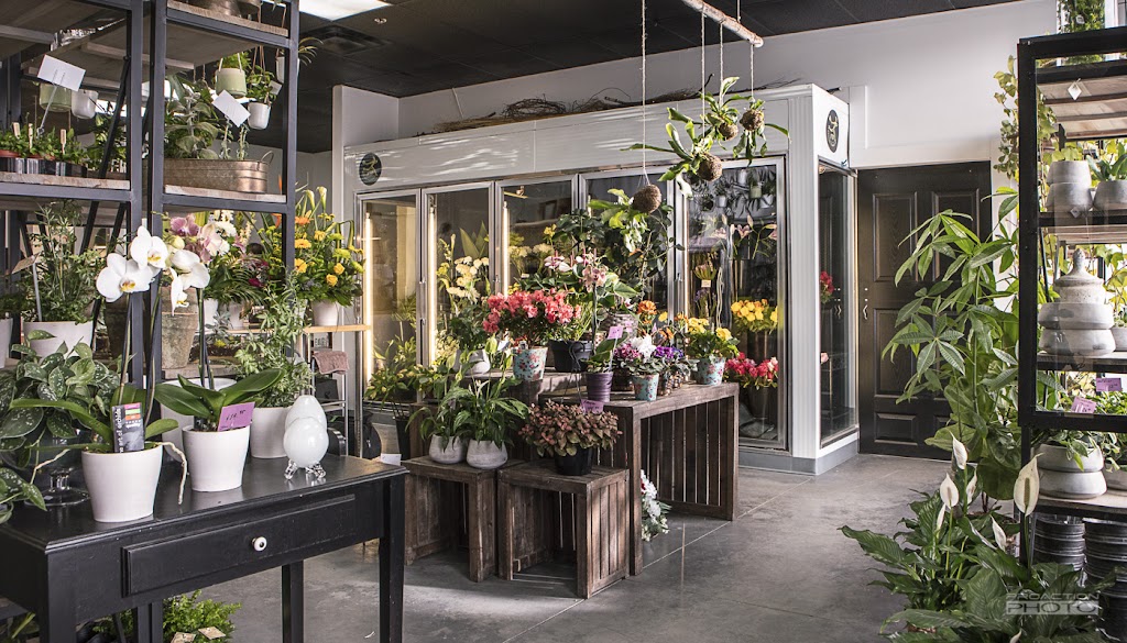 Fleuriste H W Mc Kenna | 3440 Chem. des Quatre-Bourgeois, Québec, QC G1W 4T3, Canada | Phone: (418) 653-6847