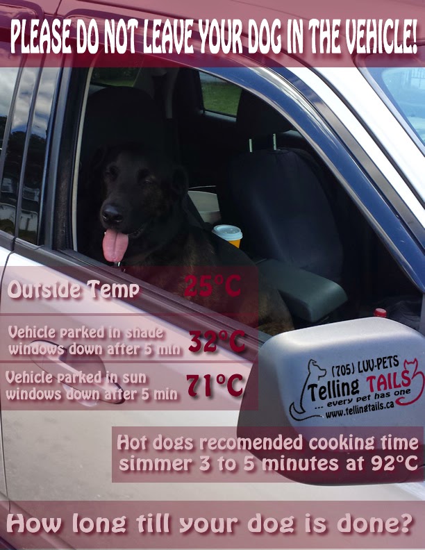 Telling Tails | 3482 Errington Ave, Chelmsford, ON P0M 1L0, Canada | Phone: (705) 588-7387