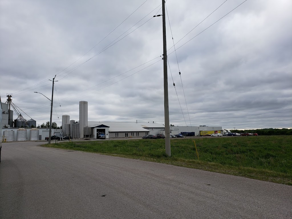 Shepherd Gourmet Dairy | 38 Enterprise Dr, St. Marys, ON N4X 1B5, Canada | Phone: (519) 349-2410