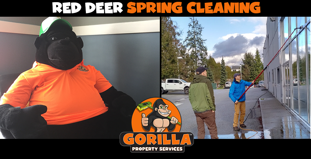 Gorilla Property Services | 6740 Johnstone Dr #40, Red Deer, AB T4P 3Y2, Canada | Phone: (587) 802-2202