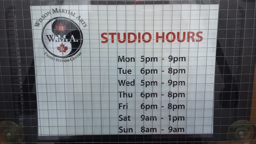 Wilson Martial Arts Family Fitness Centre | 205 Queen St S, Mississauga, ON L5M 1K7, Canada | Phone: (416) 564-0696