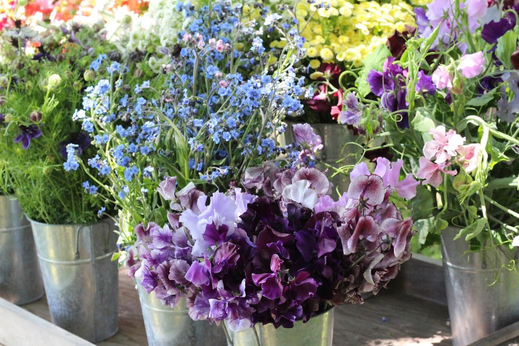 Floralora Flowers | 438 County Rd 24, Milford, ON K0K 2P0, Canada | Phone: (613) 885-2647