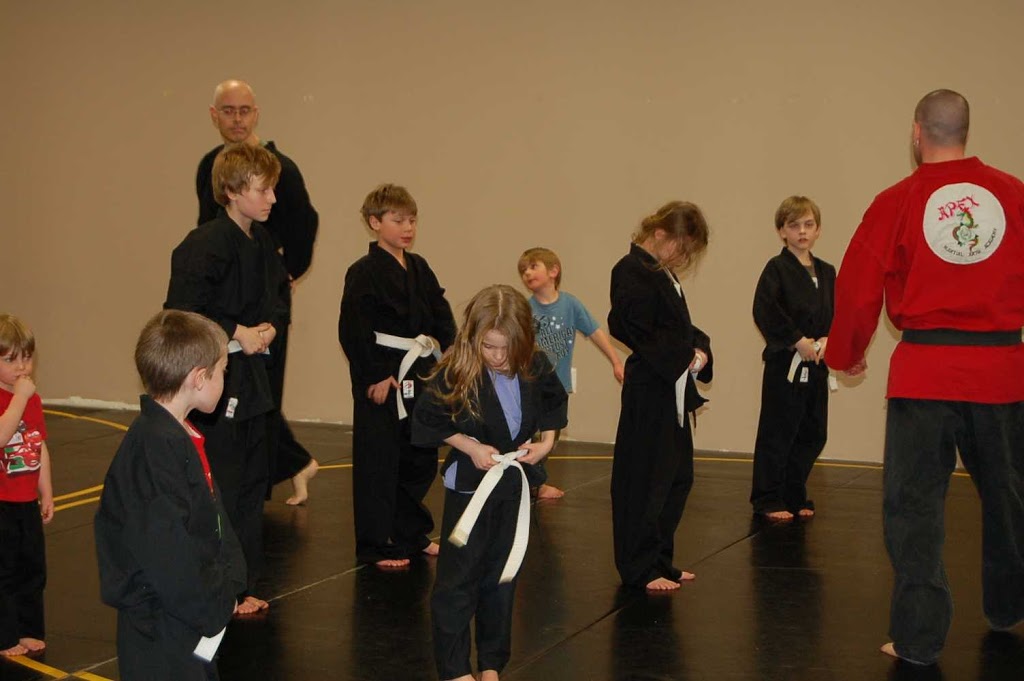 Apex Martial Arts Academy /Team Shredder | 1204 St Jerome St, Sudbury, ON P3A 2V9, Canada | Phone: (705) 929-2739