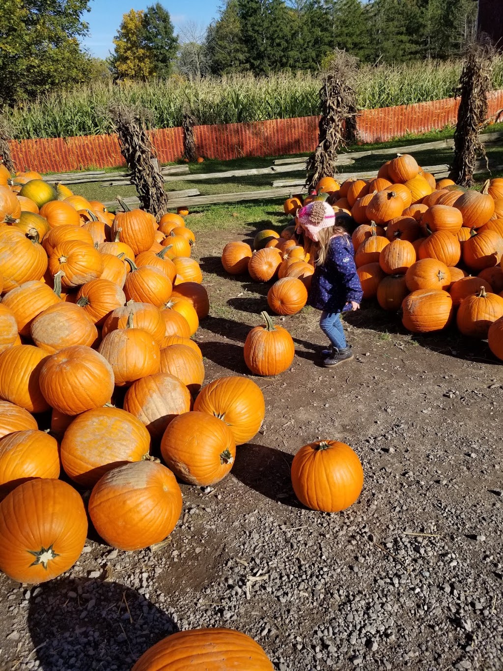 Bry-Anne Farms | 471 Foss Rd, Fenwick, ON L0S 1C0, Canada | Phone: (905) 892-8999
