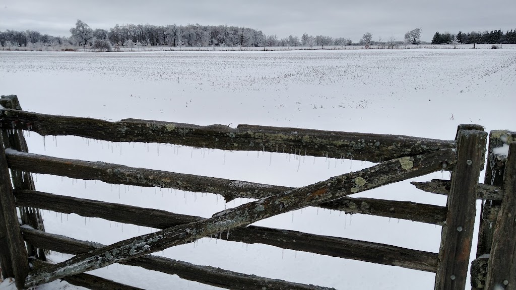 Stone Ridge | 17812 St Andrews Rd, Caledon, ON L7K 2C4, Canada | Phone: (519) 927-5234