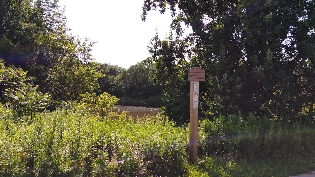 Stormwater Management Area | 25 Fischer-Hallman Rd N, Waterloo, ON N2T 2M9, Canada