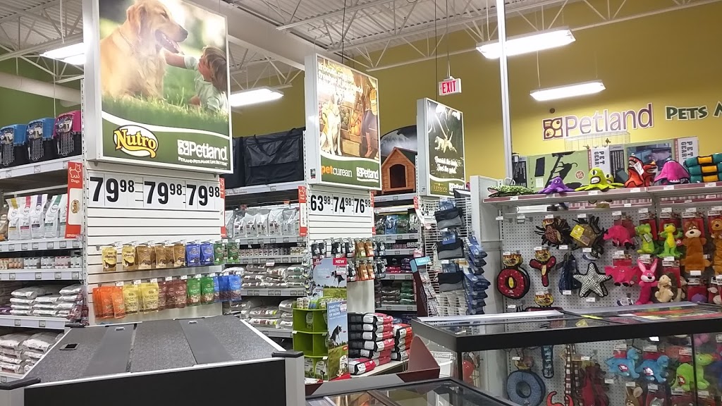 Petland | 6004 Currents Dr NW #6268, Edmonton, AB T6W 0L8, Canada | Phone: (587) 521-8210