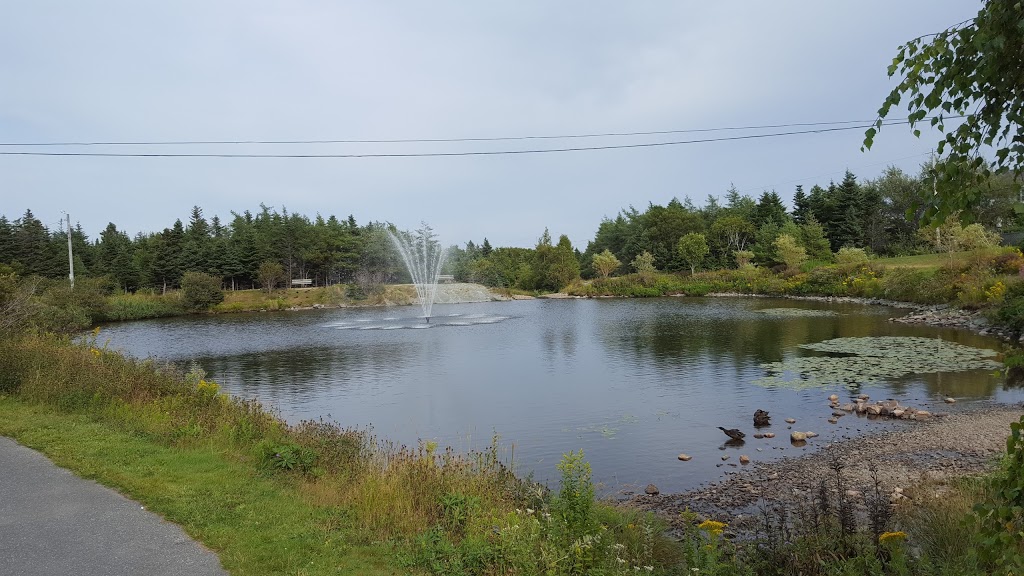 Mount Pearl Dog Park | 43 Clyde Ave, Mount Pearl, NL A1N 4S2, Canada | Phone: (709) 748-1047
