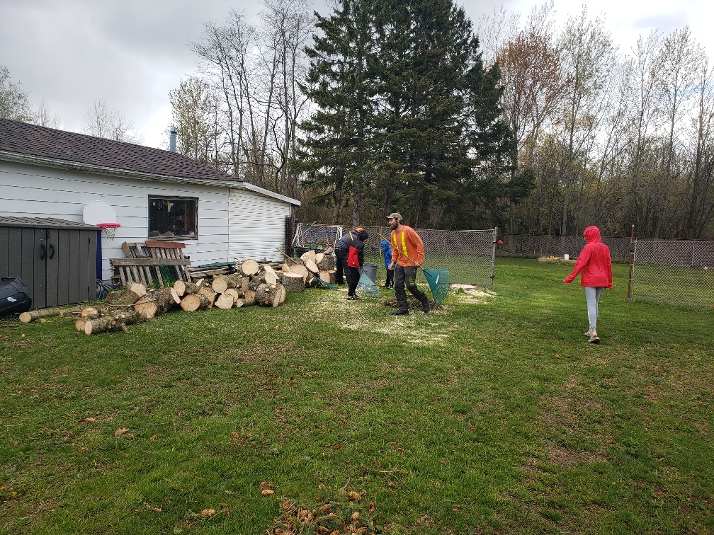 Branches Tree Service | 3165 Lambs Rd, Bowmanville, ON L1C 6J7, Canada | Phone: (905) 432-1422