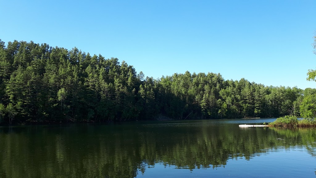 Salon lEnvolée - Andrée Dancause - Massothérapie - Orthothérapie | 59 Montée Léonard, Lac-du-Cerf, QC J0W 1S1, Canada | Phone: (819) 430-6763