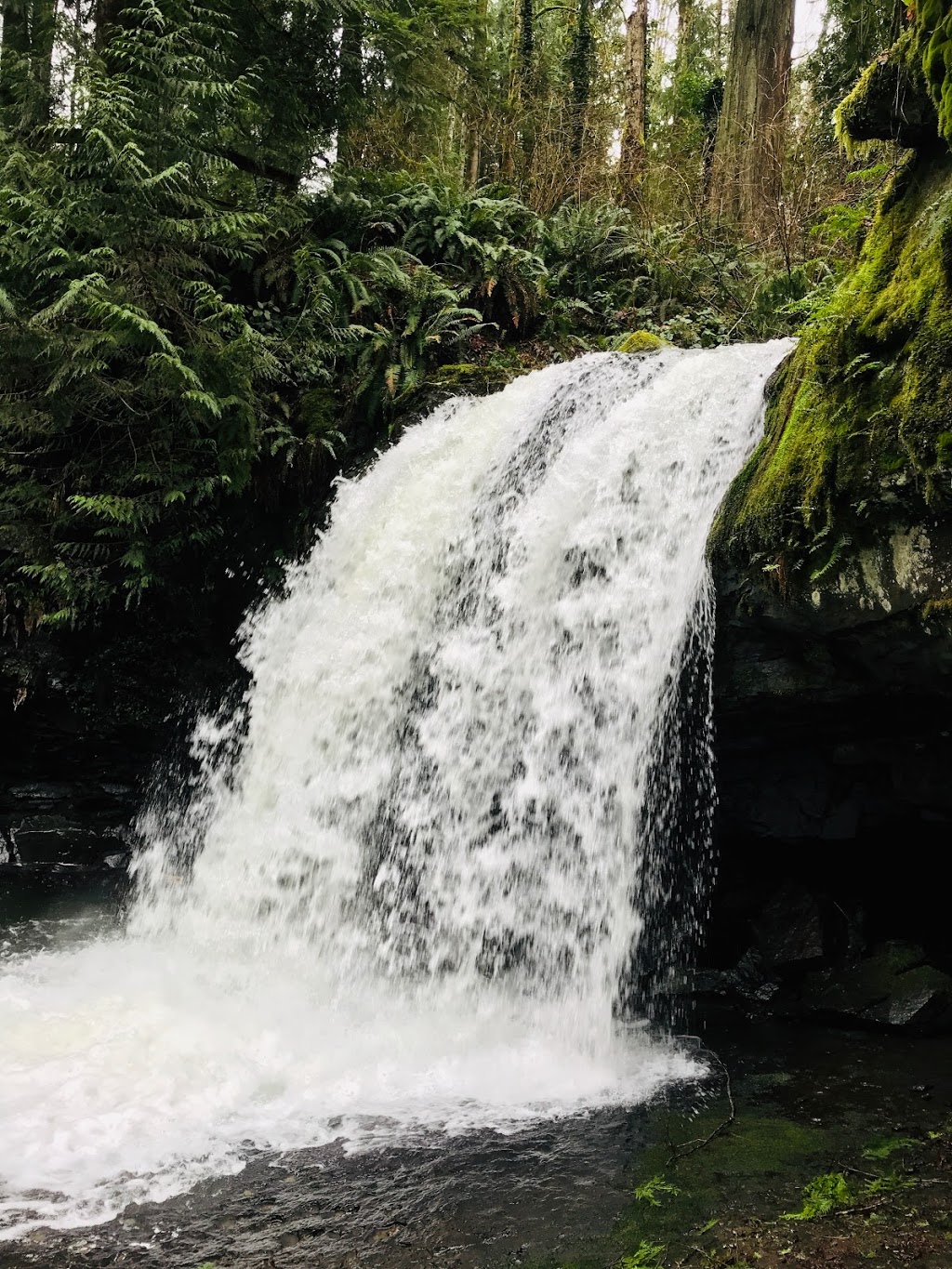 Stocking Creek Park | 2A7, Trans Canada Trail, Ladysmith, BC V9G 2A4, Canada