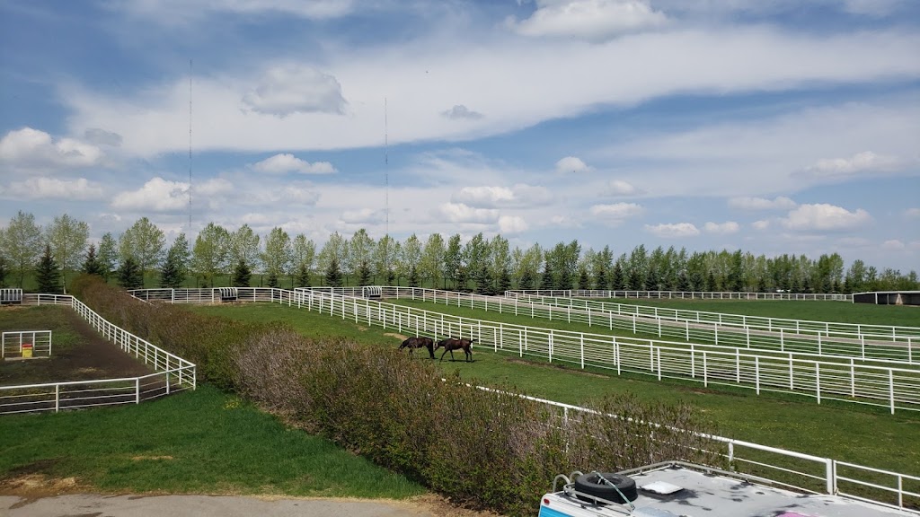 Bar None Ranches | 322133 Hwy 552 W, De Winton, AB T0L 0X0, Canada | Phone: (403) 938-9956