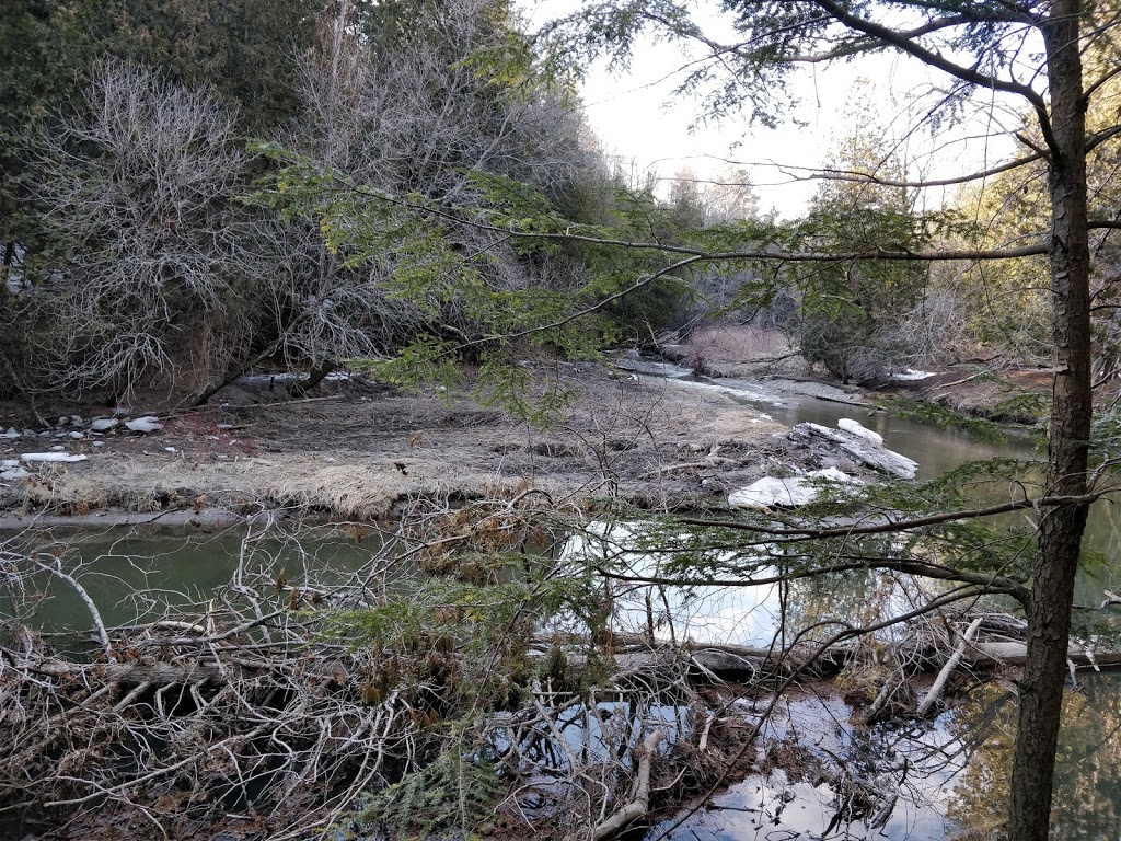 Heber Down Conservation Area | 5000 Cochrane St, Whitby, ON L1P 2A3, Canada | Phone: (905) 579-0411