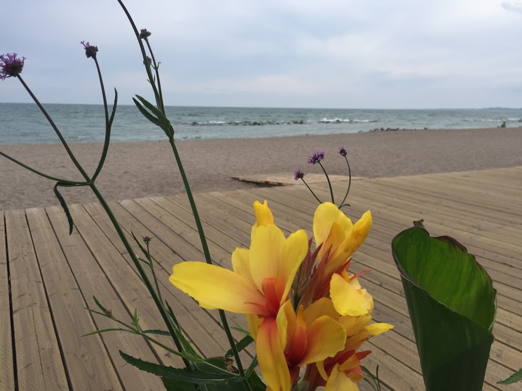 Sunset Dance Party on the Beach | Toronto, ON, Canada