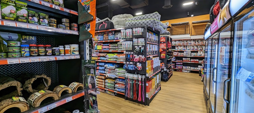 Chico - Boutique danimaux | Victoriaville | 5 Rue de lAqueduc, Victoriaville, QC G6P 1L4, Canada | Phone: (873) 477-0270