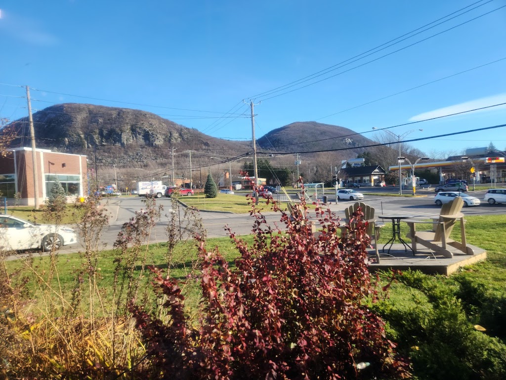Boulangerie Le Pain Dans Les Voiles | 250 Rue St Georges, Mont-Saint-Hilaire, QC J3H 2Y1, Canada | Phone: (450) 281-0779