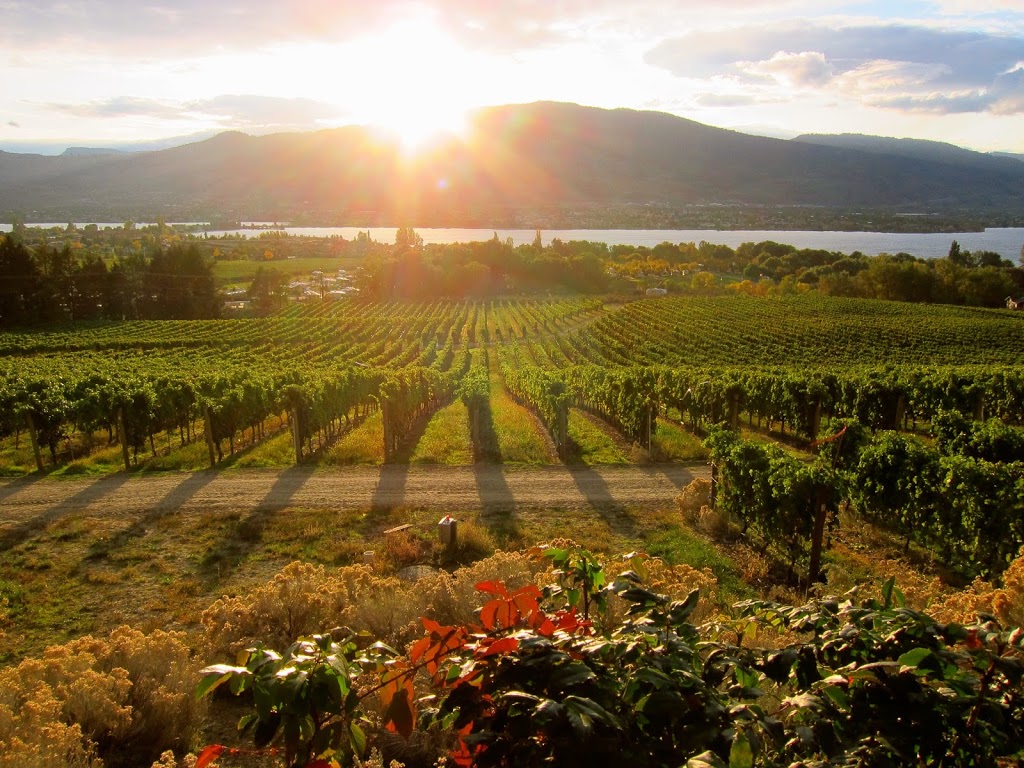 NKMIP Cellars | 1400 Rancher Creek Rd, Osoyoos, BC V0H 1V4, Canada | Phone: (250) 495-2985