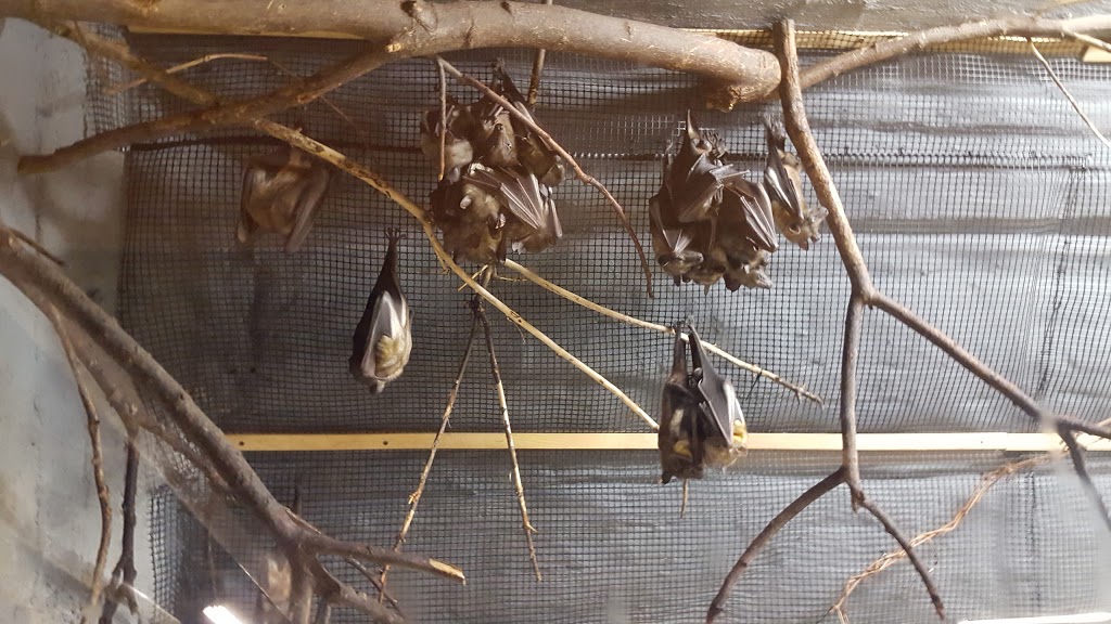 Little Rays Reptile Zoo and Nature Centre | 5305 Bank St, Gloucester, ON K1X 1H2, Canada | Phone: (613) 822-8924