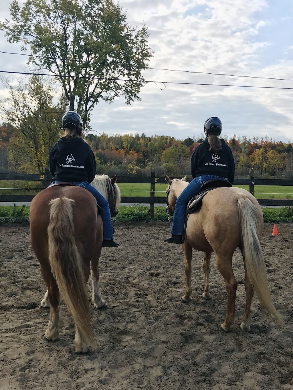 Les Écuries DOrvilliers | 425 Rang dOrvilliers, Sainte-Anne-de-la-Pérade, QC G0X 2J0, Canada | Phone: (418) 507-2365