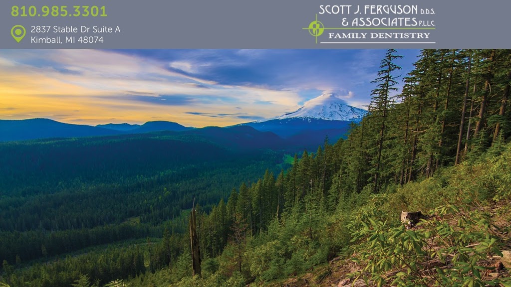Scott J Ferguson & Associates | 2837 Stable Dr, Smiths Creek, MI 48074, USA | Phone: (810) 985-3301