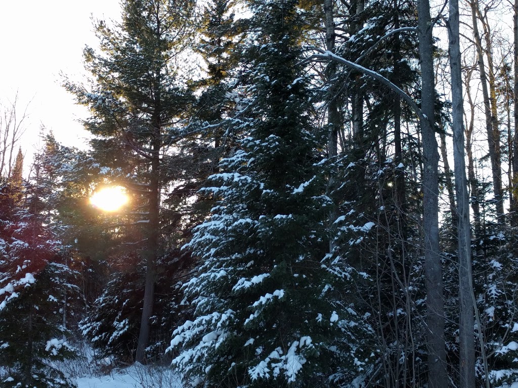 Fiddler Lake Resort | lOriole,, 4 Chemin de lOriole, Mille-Isles, QC J0R 1A0, Canada