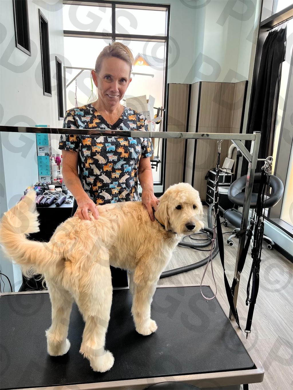 Prestige Dog Grooming School | 500 Royal Oak Dr NW, Calgary, AB T3G 0E8, Canada | Phone: (403) 396-1769