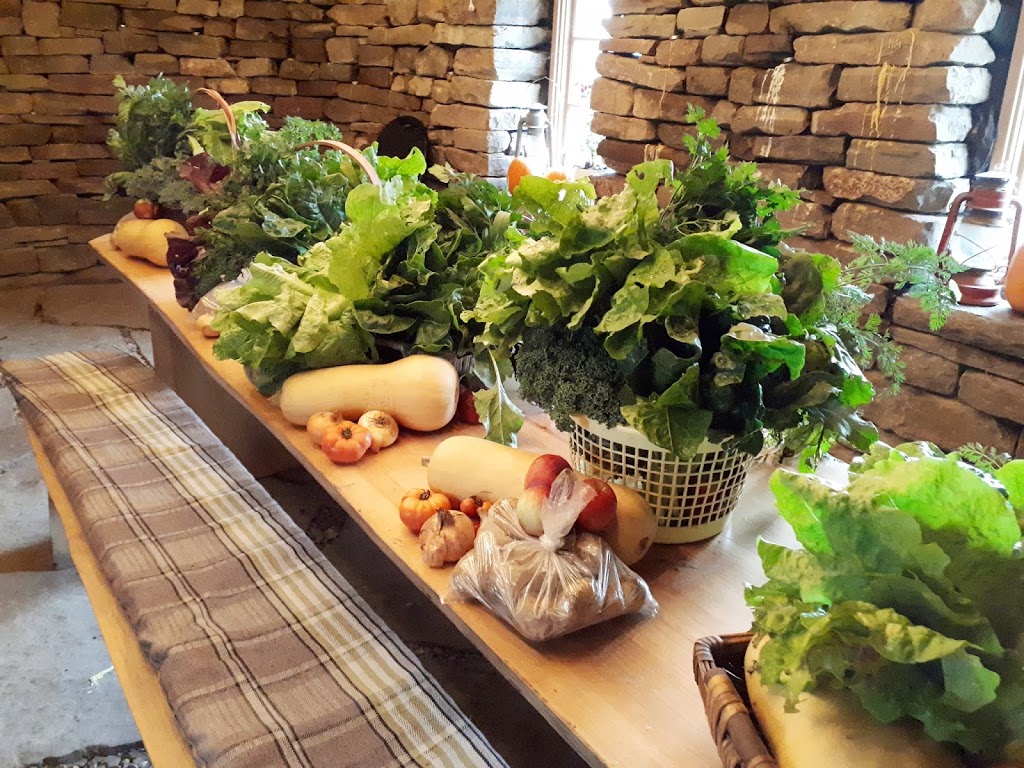 Grand River Gardens | 322345 Concession road 6-7, East Luther Grand Valley, ON L9W 0X3, Canada | Phone: (289) 990-7973