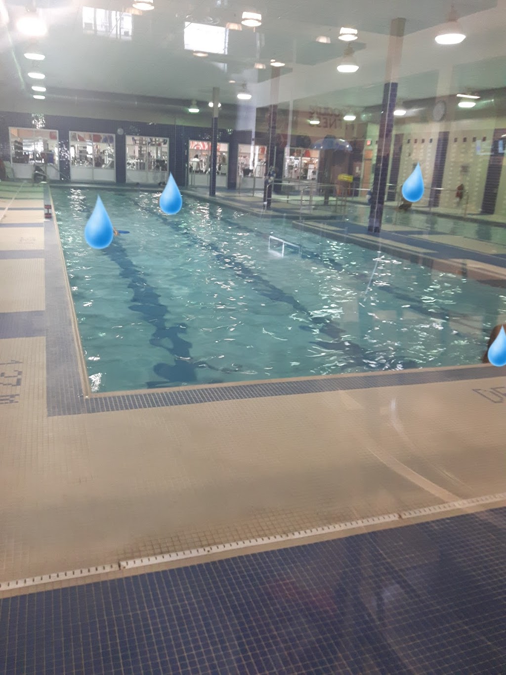 GoodLife Fitness St Catharines Bunting and Carlton | 366 Bunting Rd, St. Catharines, ON L2M 3Y6, Canada | Phone: (905) 646-1715