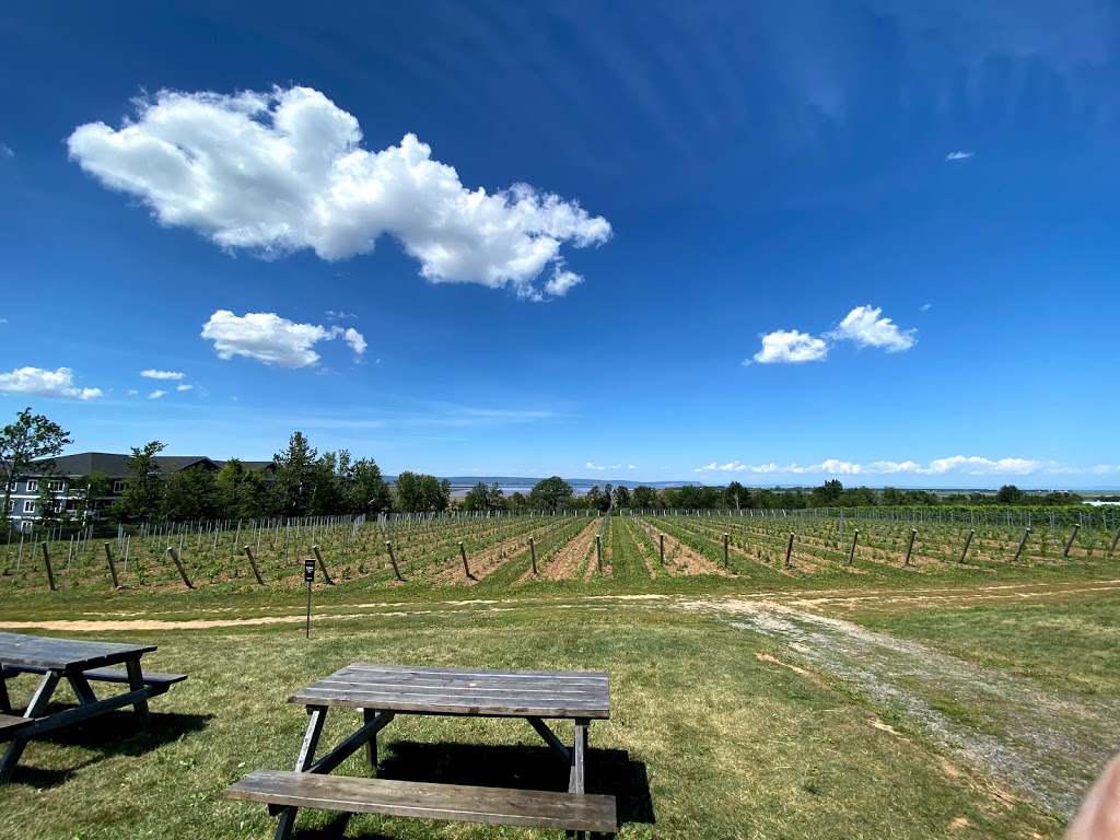 Lightfoot & Wolfville Vineyards | 11143 Evangeline Trail, Wolfville, NS B4P 2R1, Canada | Phone: (902) 542-7774