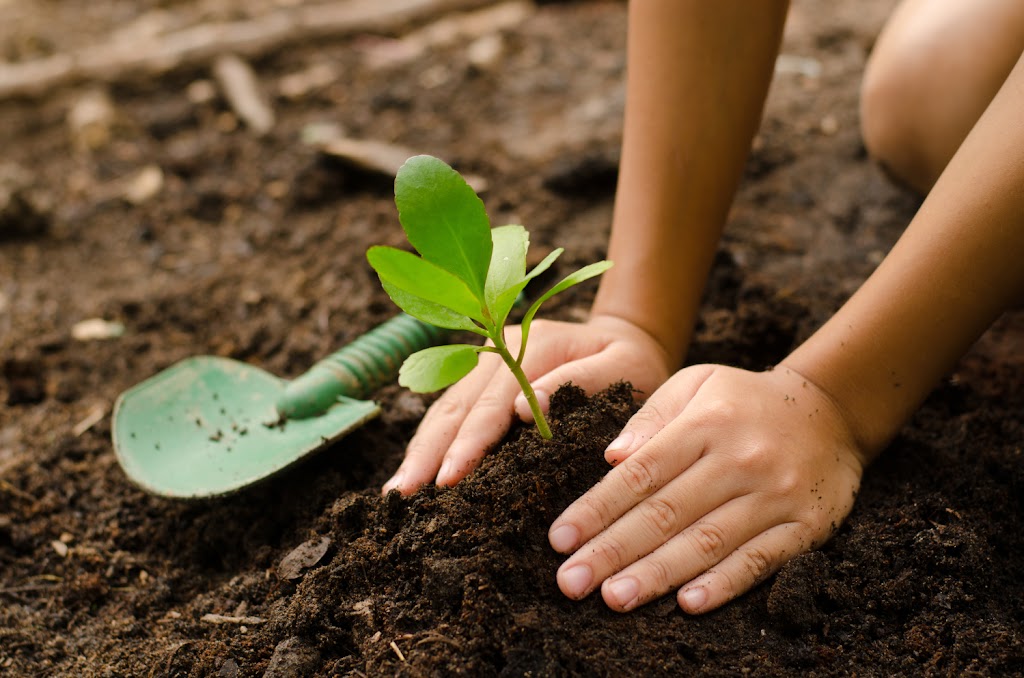 Niagara Alternative Learning Alliance (NALA) | 1665 Four Mile Creek Rd, Virgil, ON L0S 1J0, Canada | Phone: (289) 690-5500