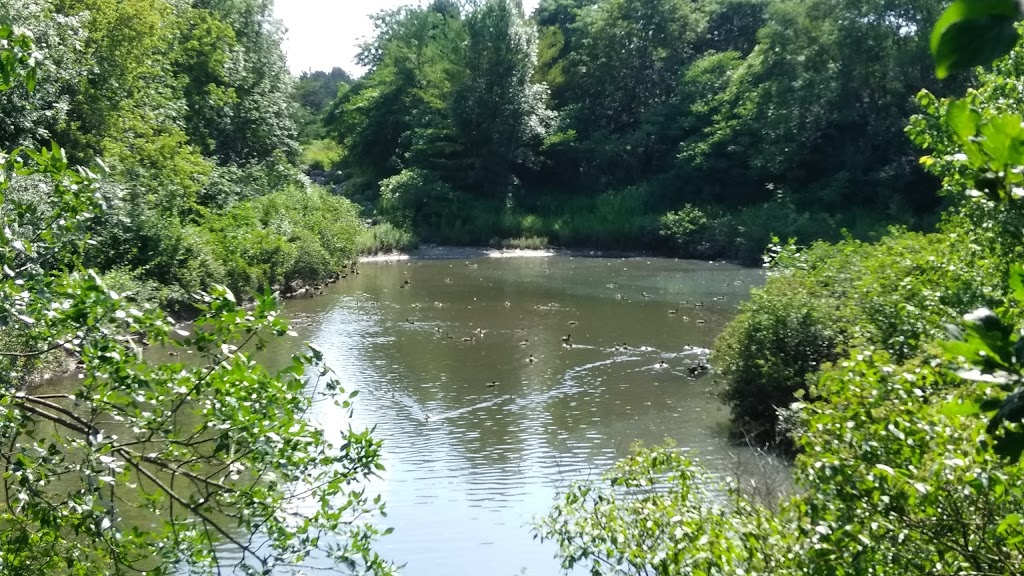 Stormwater Management Area | 25 Fischer-Hallman Rd N, Waterloo, ON N2T 2M9, Canada