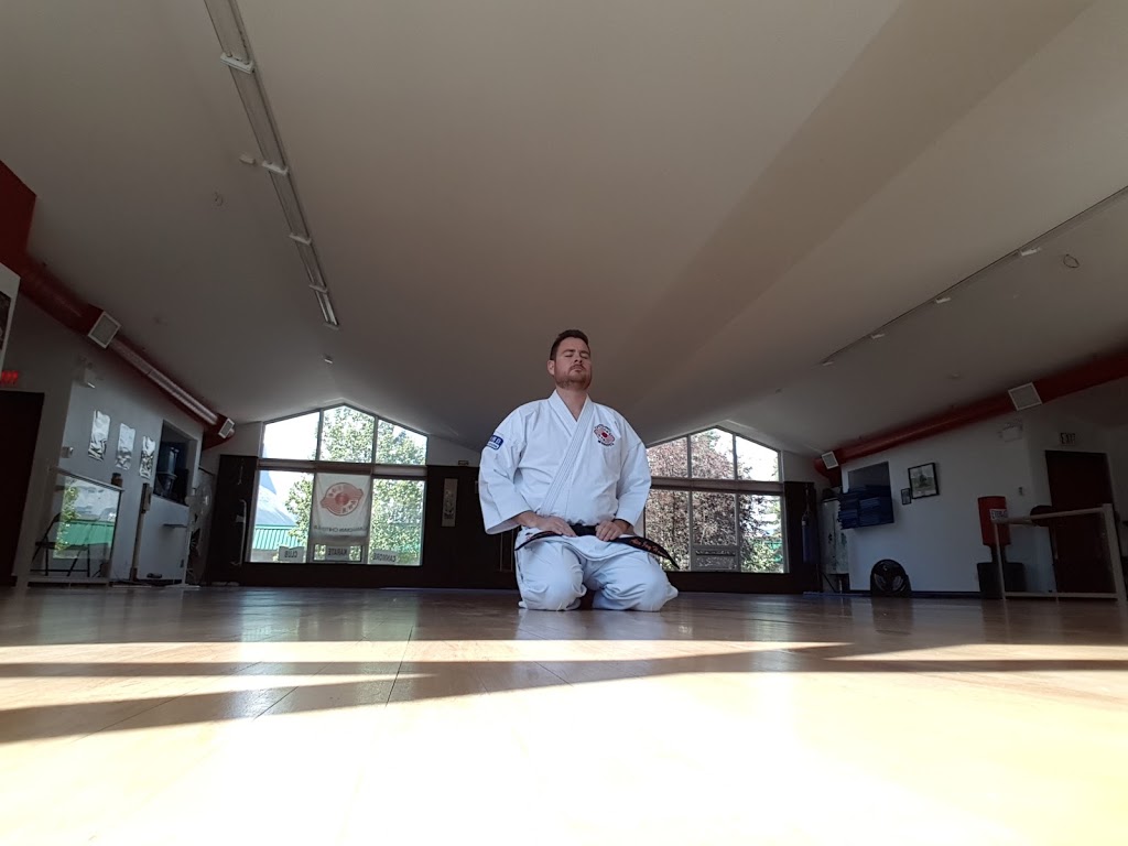 Chito-ryu Karate | 640 Pepperloaf Crescent, Winnipeg, MB R3R 1N3, Canada | Phone: (204) 510-9036