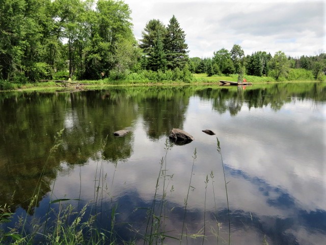 Laura Graham, Realtor REVA Realty Inc. | 8 Flint Ave, Bancroft, ON K0L 1C0, Canada | Phone: (613) 332-8891
