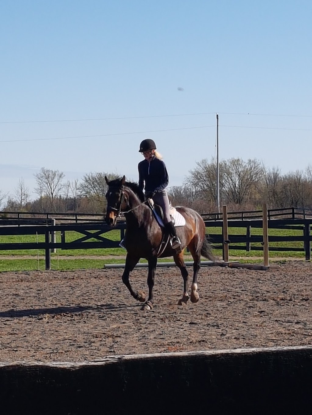 Eagle Wing Ranch | 426 Buchner Rd, Welland, ON L3B 5N4, Canada | Phone: (905) 359-0824