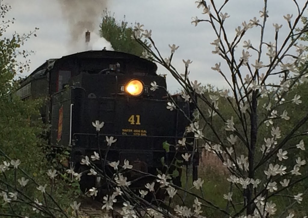 Prairie Junction RV Resort | 4402 50 St, Stettler, AB T0C 2L0, Canada | Phone: (403) 742-8855