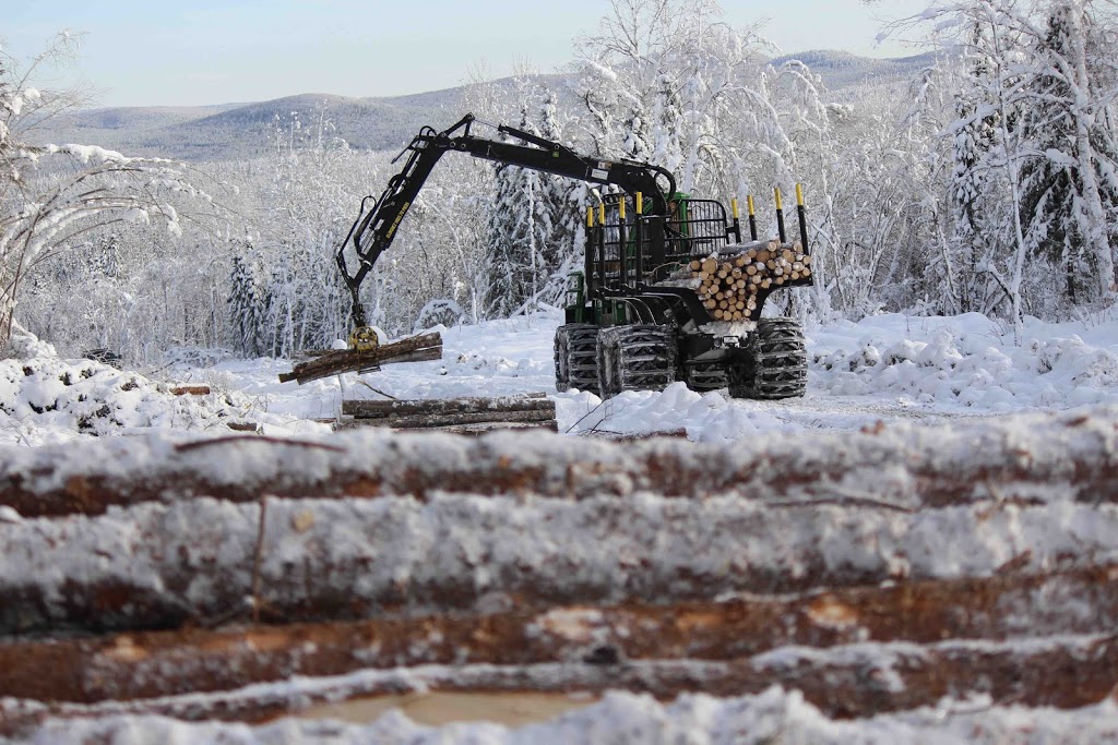 Groupement forestier Charlevoix | 16 route 138, Saint-Aimé-des-Lacs, QC G0T 1S0, Canada | Phone: (418) 439-3588