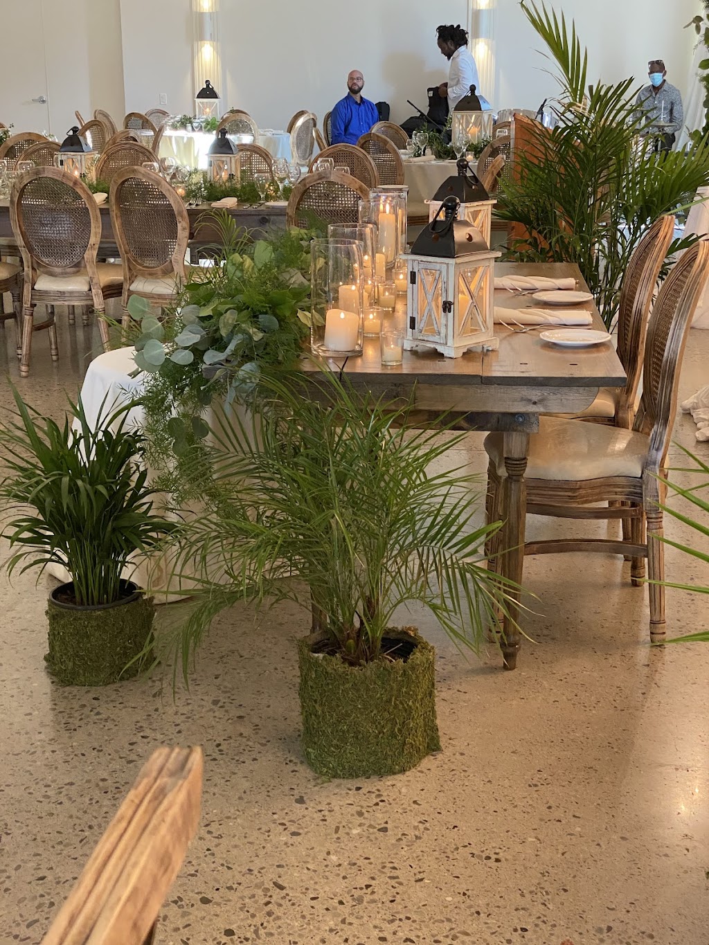 Urban Jungle Cambridge | 149 Hespeler Rd, Cambridge, ON N1R 3G9, Canada | Phone: (519) 624-8284