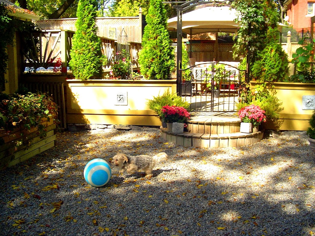 Our Dog Spot | 101 Hollands Rd, Greater Napanee, ON K7R 3K8, Canada | Phone: (613) 354-7682