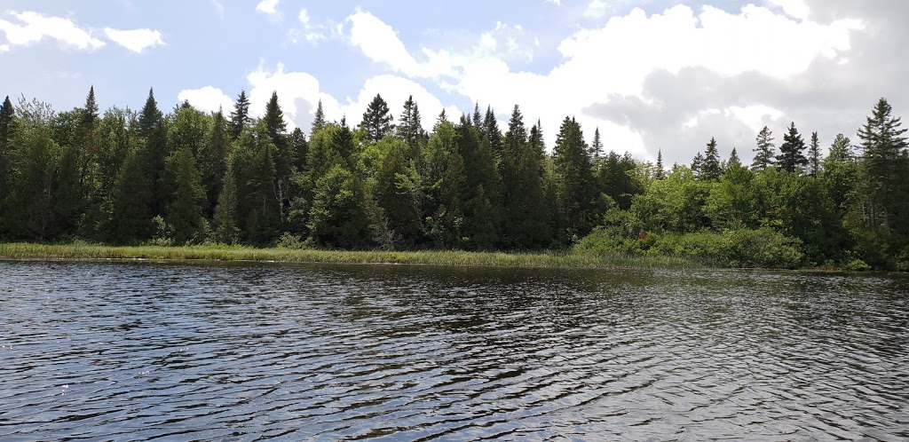 Chalet Le bois rond des Ruisseaux | 171 Chemin du Curé, Saint-Tite-des-Caps, QC G0A 1L0, Canada | Phone: (418) 823-1184