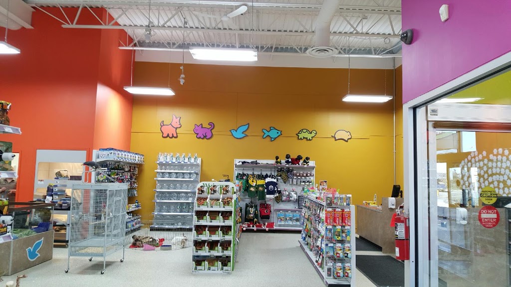 Petland Edmonton West | 18423 Stony Plain Rd, Edmonton, AB T5S 2V9, Canada | Phone: (780) 481-8000