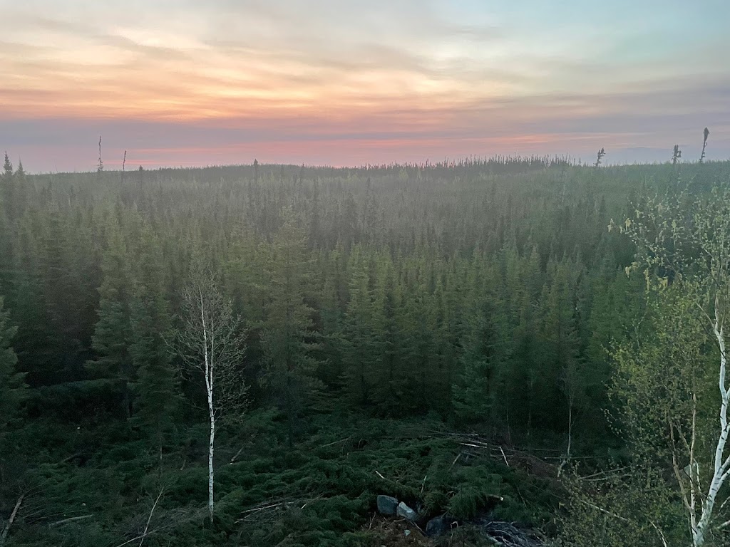 Black Bear Adventures Quebec | 2108 Rue Richard Joseph Audet, Alouette, QC G0V 1A0, Canada | Phone: (581) 999-1857