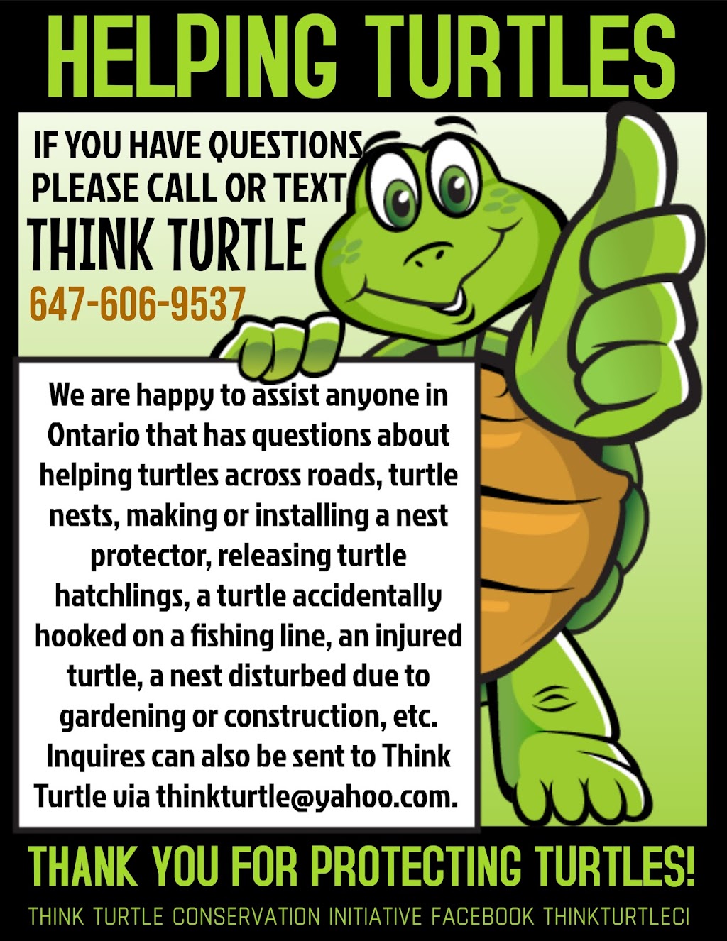 Think Turtle Conservation Initiative | 29 Bay Lake Rd, LAmable, ON K0L 2L0, Canada | Phone: (647) 606-9537