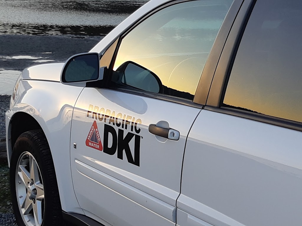 Pro Pacific DKI | 4970 Polkey Rd #16, Duncan, BC V9L 6W3, Canada | Phone: (877) 755-9966