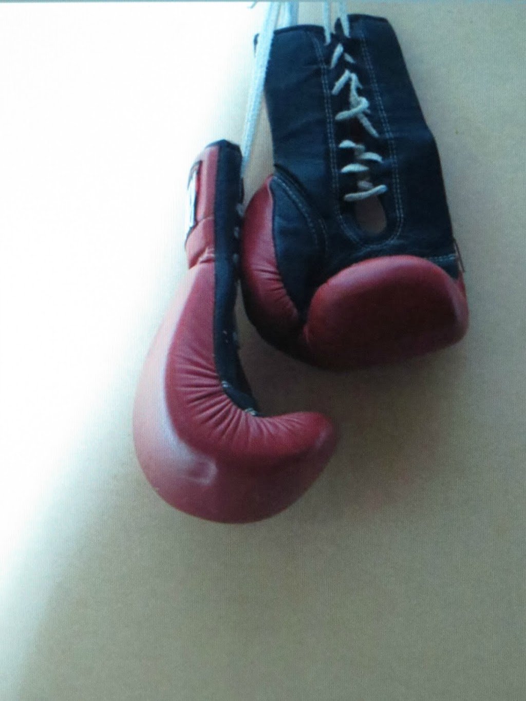East Coast Amateur Boxing | 225 Bedford Hwy, Halifax, NS B3M 2J9, Canada | Phone: (902) 499-4411