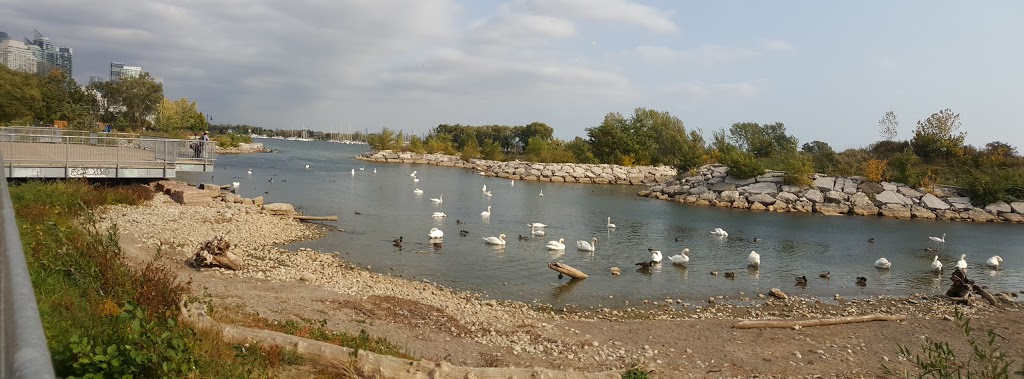 Norris Crescent Parkette | 24 Norris Crescent, Etobicoke, ON M8V 1S2, Canada